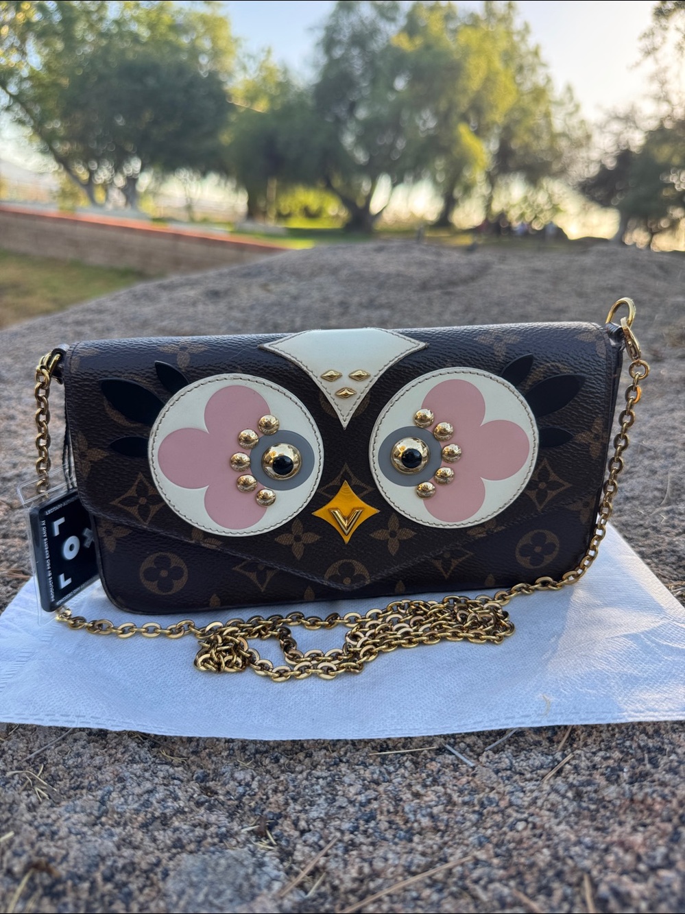 Louis Vuitton Felicie Pochette limited edition.